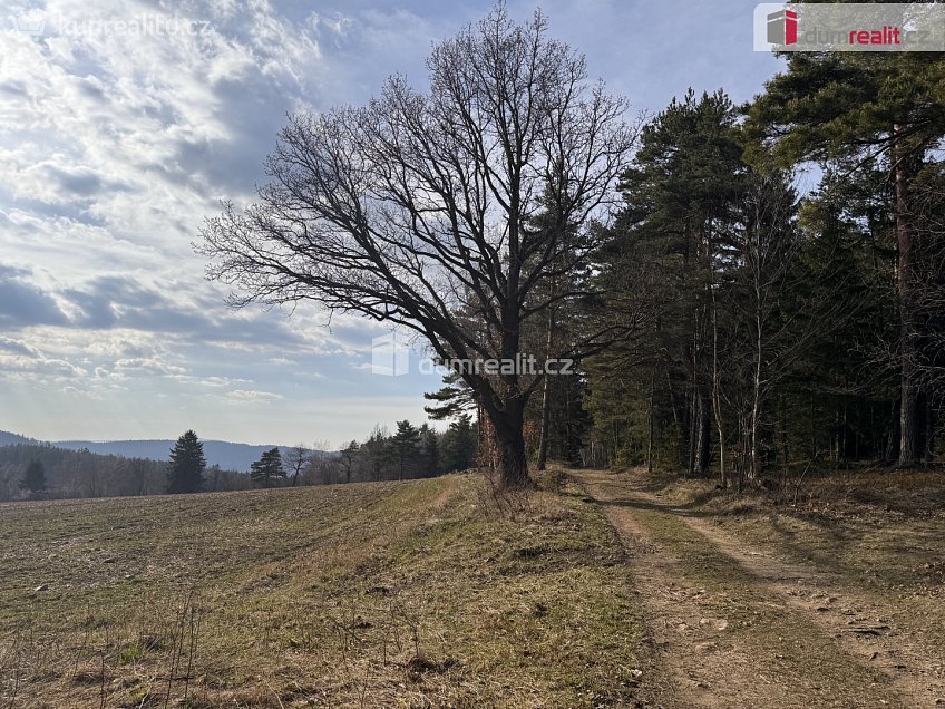 Prodej  lesa 11340 m^2 Nebahovy, Nebahovy 