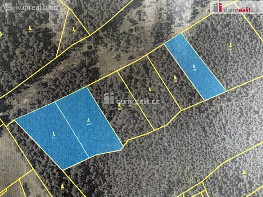 Prodej  lesa 11340 m^2 Nebahovy, Nebahovy 