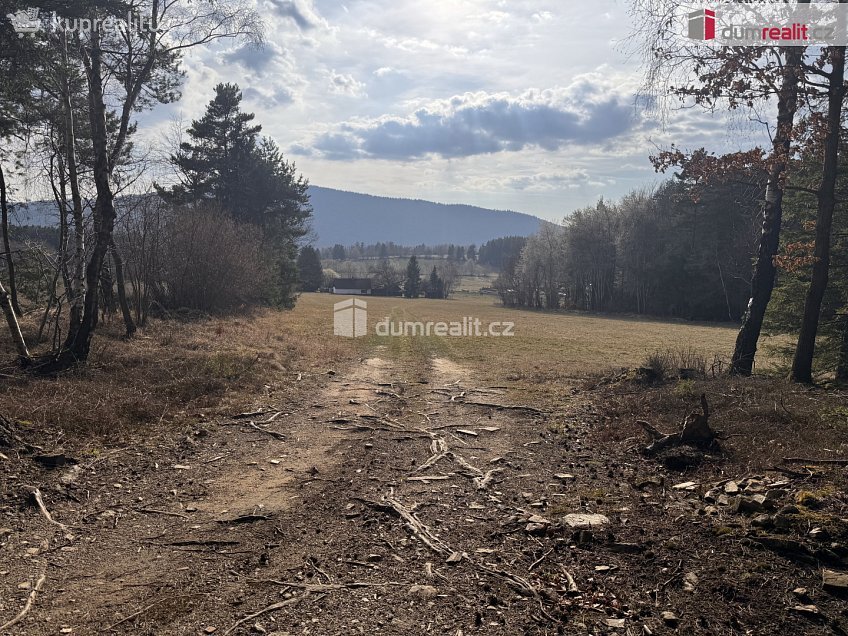 Prodej  lesa 11340 m^2 Nebahovy, Nebahovy 