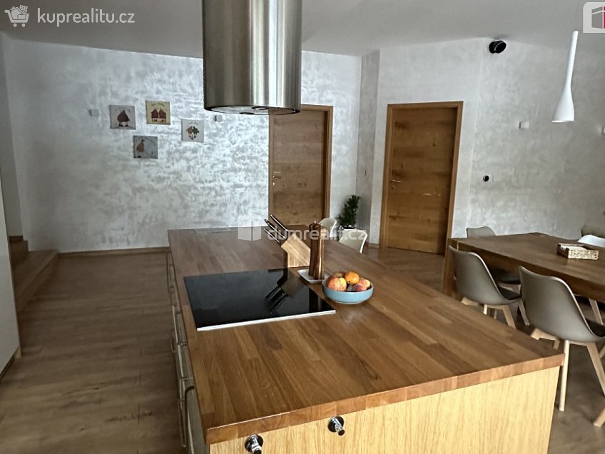 Prodej  rodinného domu 229 m^2 Dobrovského, Děčín 