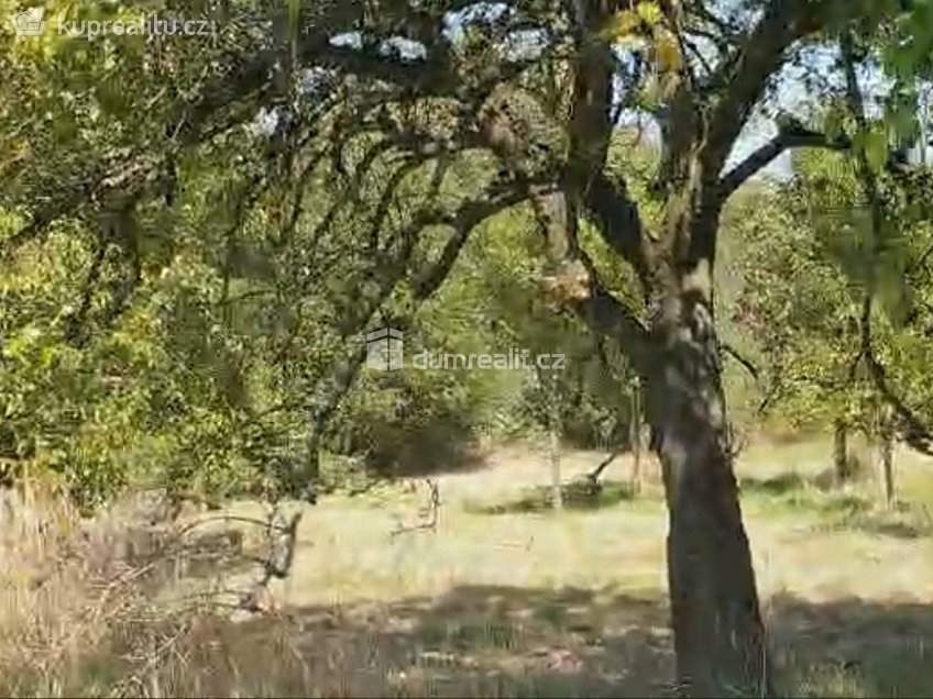 Prodej  zahrady 1141 m^2 Hranice, Hranice 