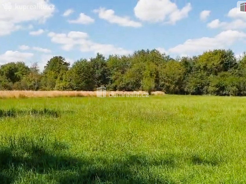 Prodej  zahrady 1141 m^2 Hranice, Hranice 