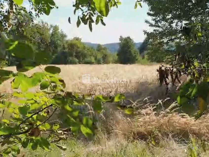 Prodej  zahrady 1141 m^2 Hranice, Hranice 