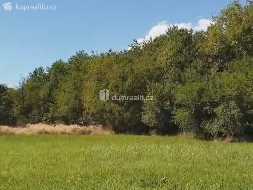 Prodej  zahrady 1141 m^2 Hranice, Hranice 