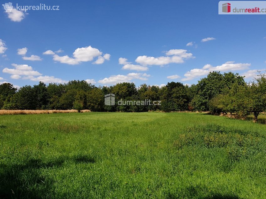 Prodej  zahrady 1141 m^2 Hranice, Hranice 