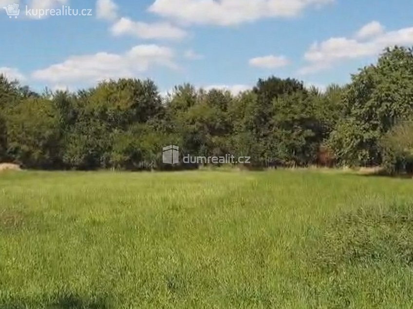 Prodej  zahrady 1141 m^2 Hranice, Hranice 