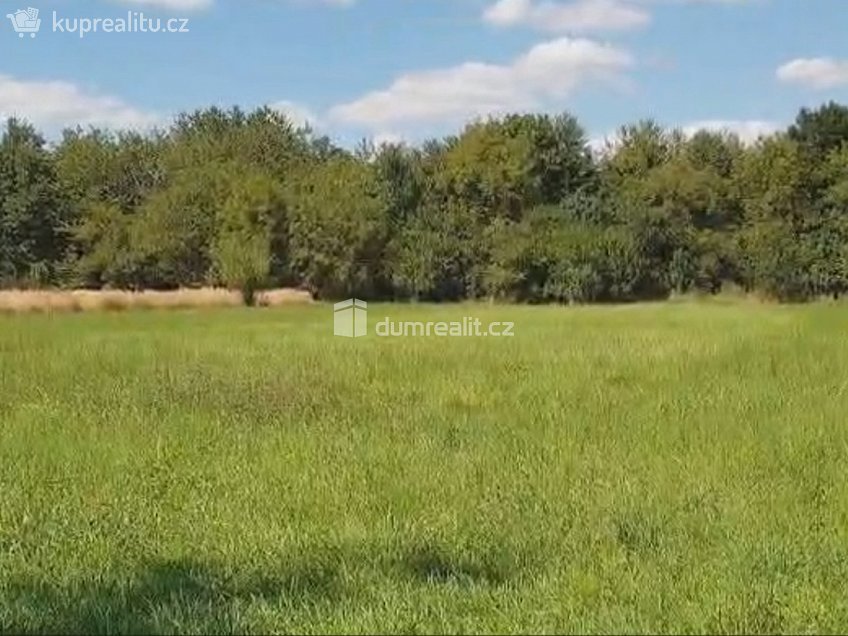 Prodej  zahrady 1141 m^2 Hranice, Hranice 