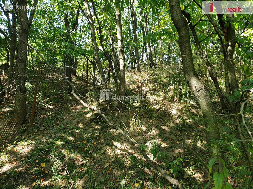 Prodej  zahrady 1141 m^2 Hranice, Hranice 