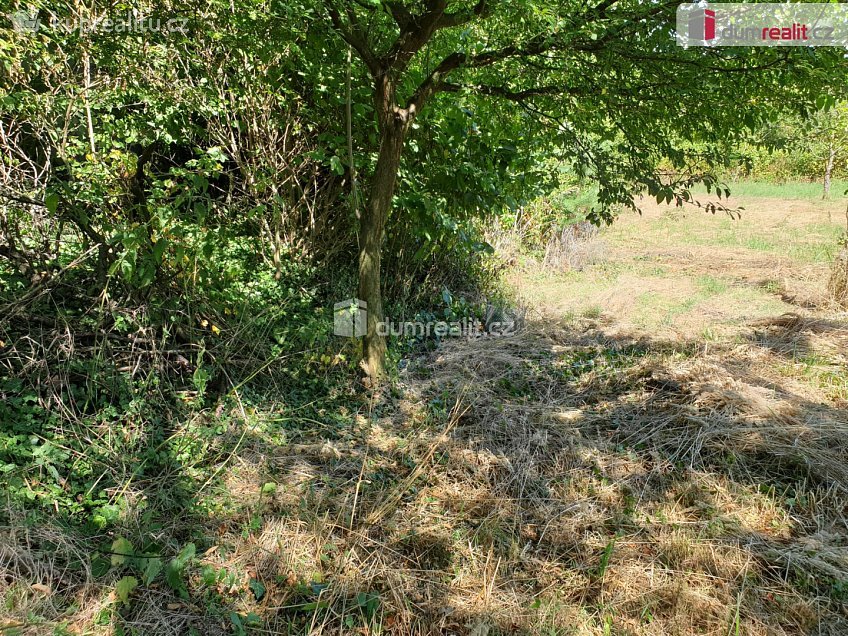 Prodej  zahrady 1141 m^2 Hranice, Hranice 