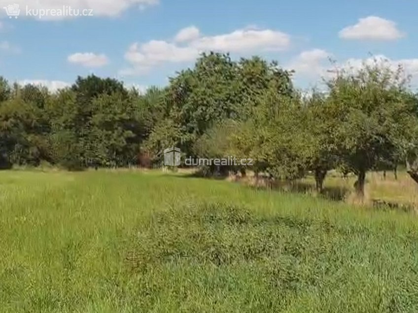 Prodej  zahrady 1141 m^2 Hranice, Hranice 