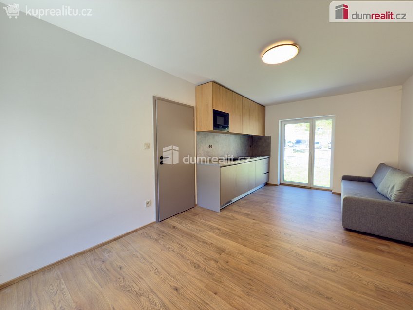 Prodej bytu 1+kk 30 m^2 Merklín, Merklín 