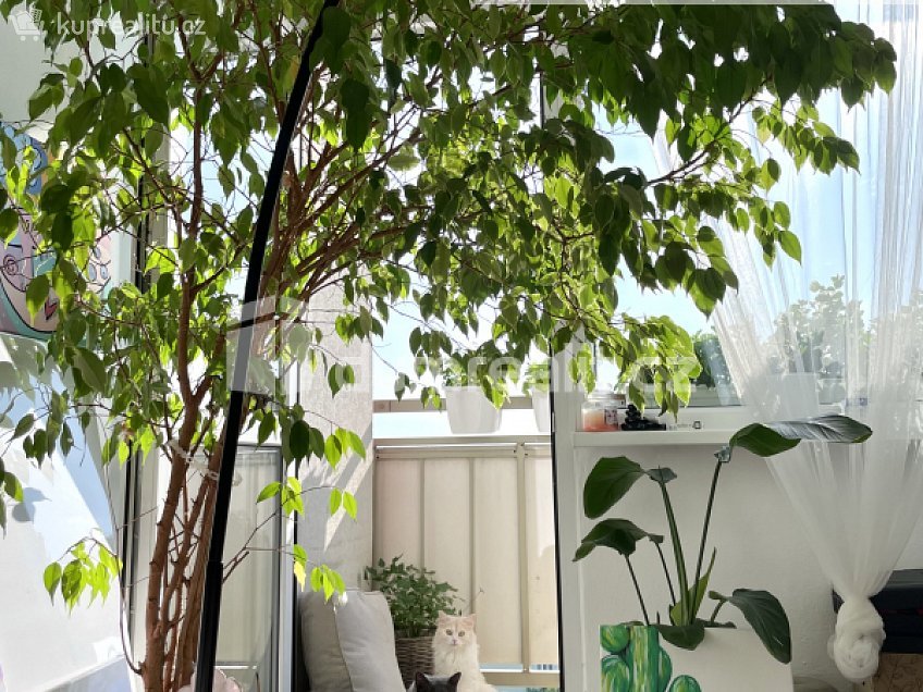 Pronájem bytu 2+1 63 m^2 Alej 17. listopadu, Roudnice nad Labem 