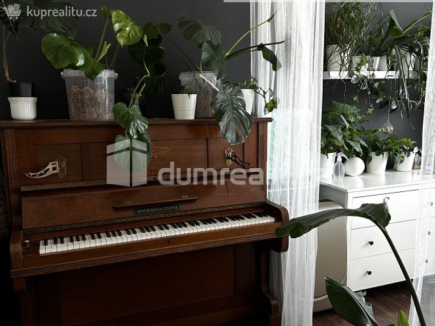 Pronájem bytu 2+1 63 m^2 Alej 17. listopadu, Roudnice nad Labem 