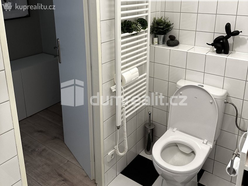 Pronájem bytu 2+1 63 m^2 Alej 17. listopadu, Roudnice nad Labem 