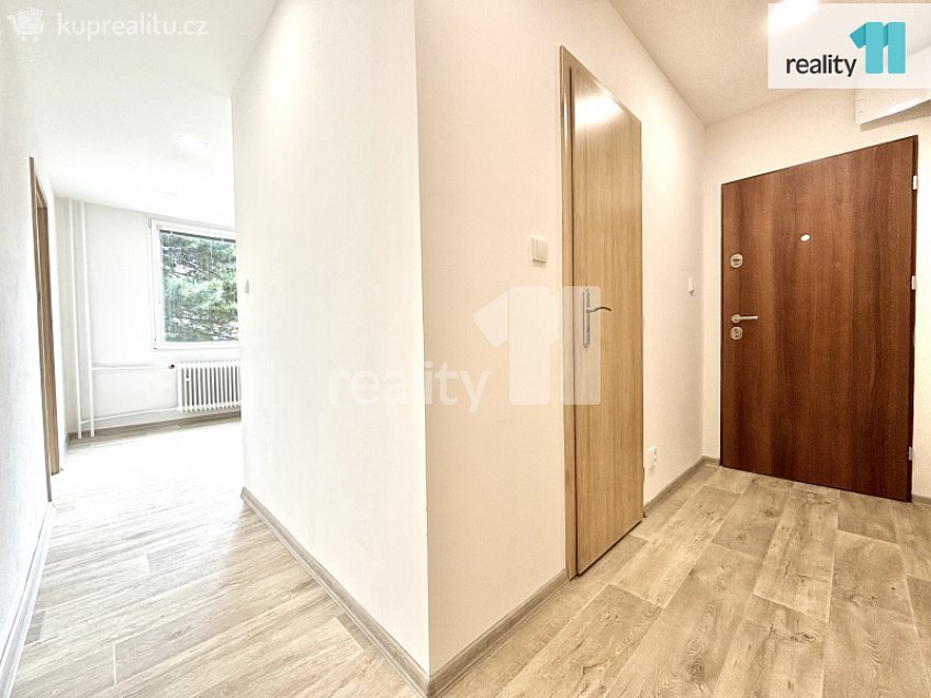 Pronájem bytu 2+1 48 m^2 Sluneční, Nový Bor 