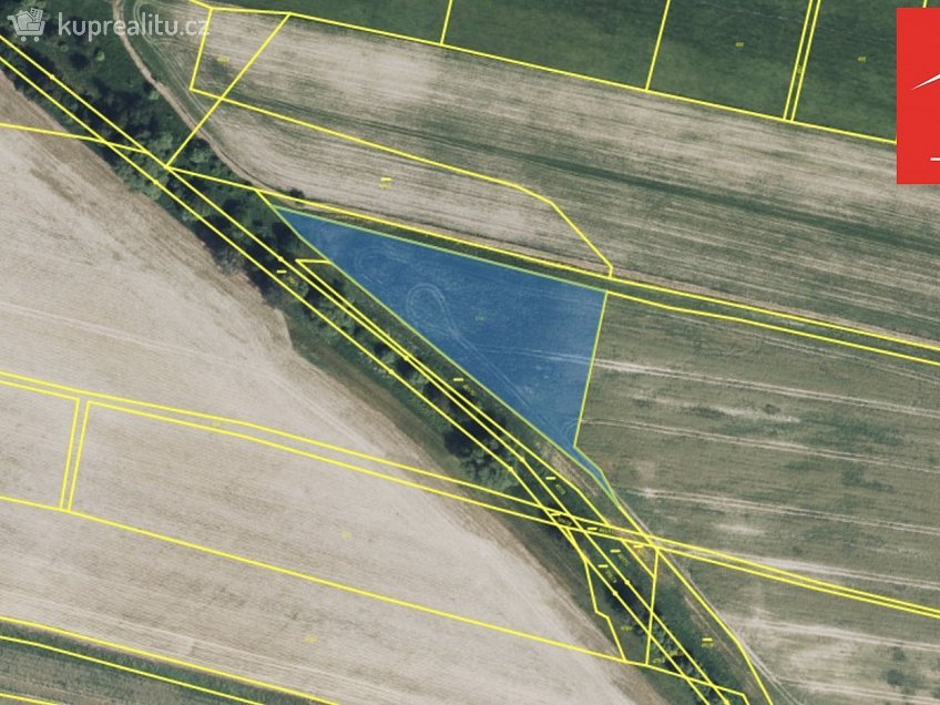 Prodej  pole 55372 m^2 Vítězná, Vítězná 