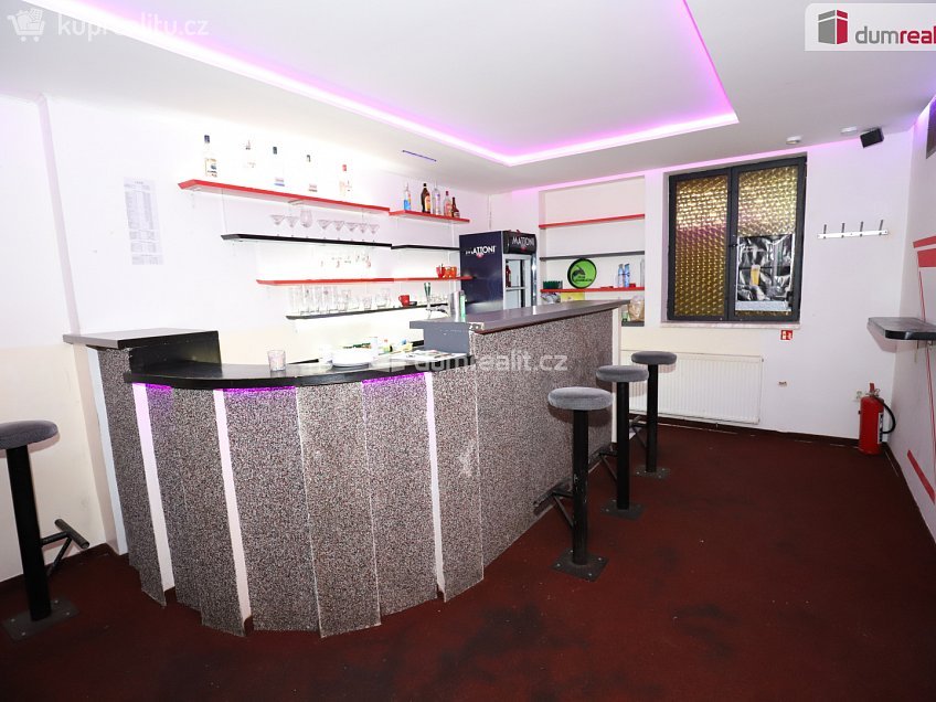 Prodej  ubytovacího zařízení 330 m^2 Vítězná, Habartov 