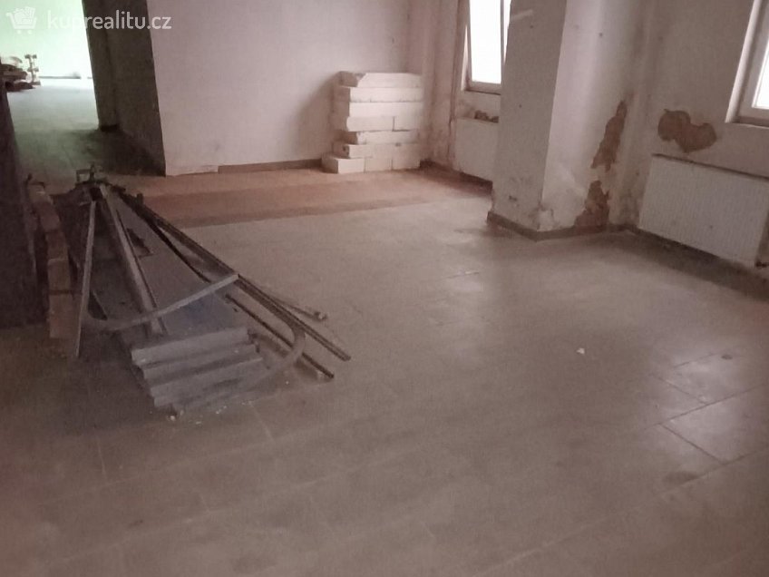 Prodej  výrobních prostor 208 m^2 Dělnická, Děčín 