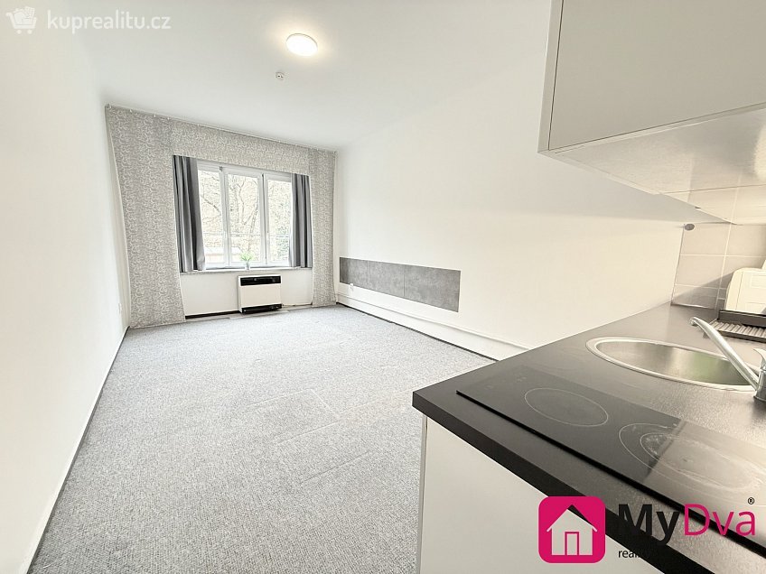 Pronájem bytu 1+kk 30 m^2 Plzeňská, Praha 