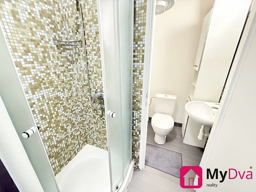 Pronájem bytu 1+kk 30 m^2 Plzeňská, Praha 