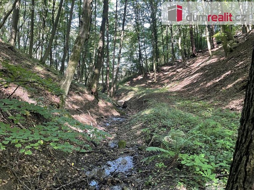 Prodej  stavebního pozemku 1153 m^2 Lužné, Luhačovice 