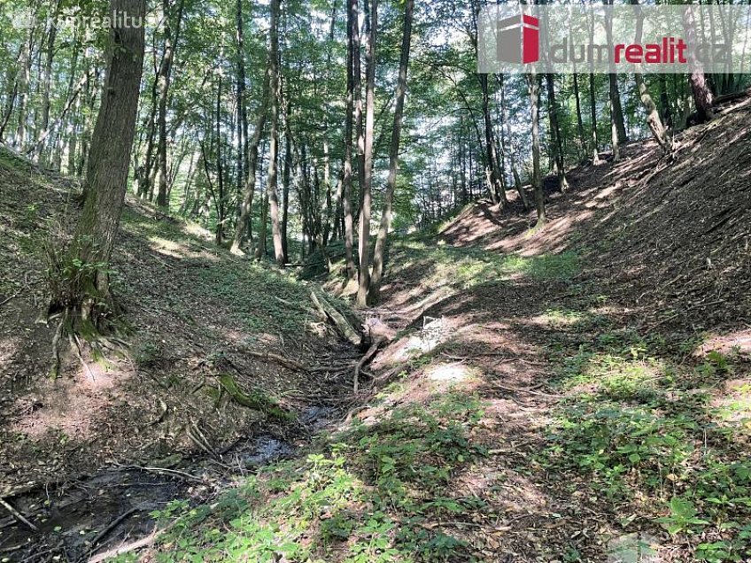 Prodej  stavebního pozemku 1153 m^2 Lužné, Luhačovice 