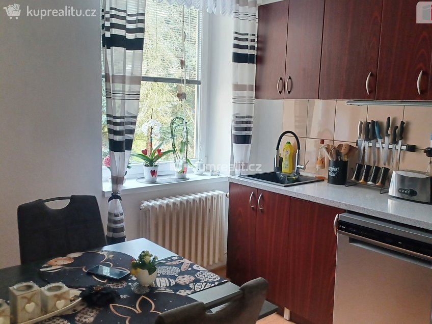 Prodej  činžovního domu 265 m^2 Kamenická, Děčín 