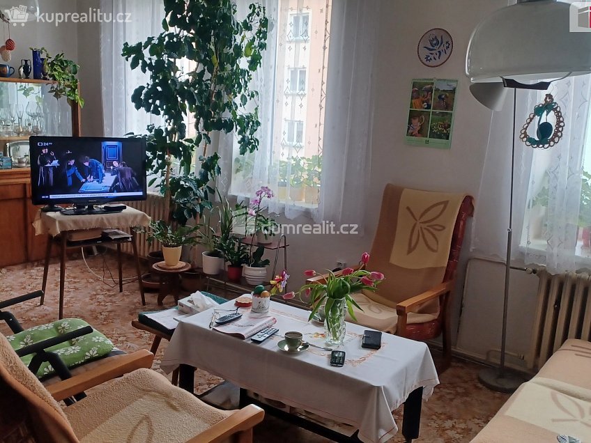 Prodej  činžovního domu 265 m^2 Kamenická, Děčín 