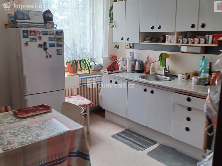 Prodej  činžovního domu 265 m^2 Kamenická, Děčín 