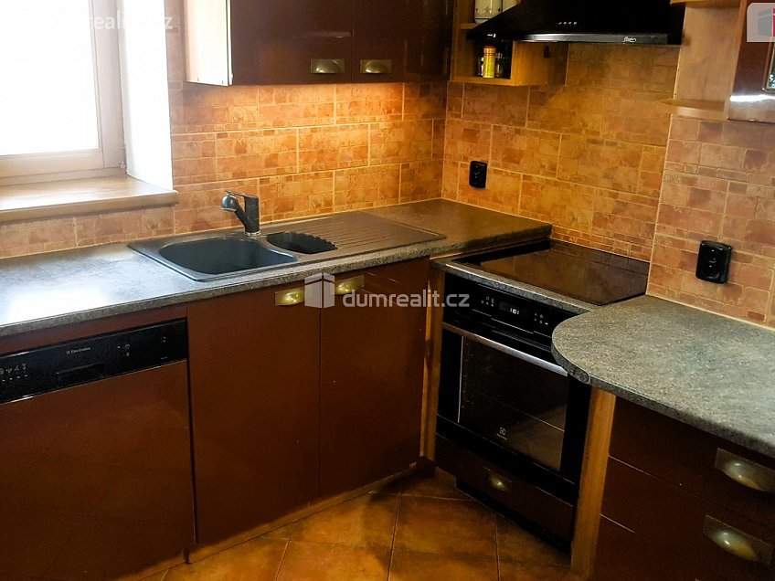 Prodej  rodinného domu 303 m^2 Plucárna, Hodonín 