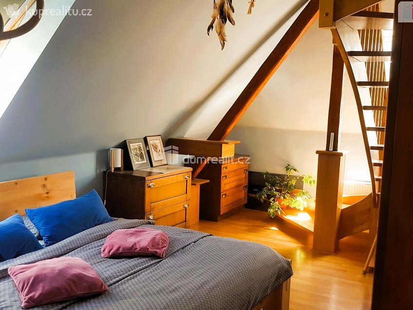 Prodej  rodinného domu 303 m^2 Plucárna, Hodonín 