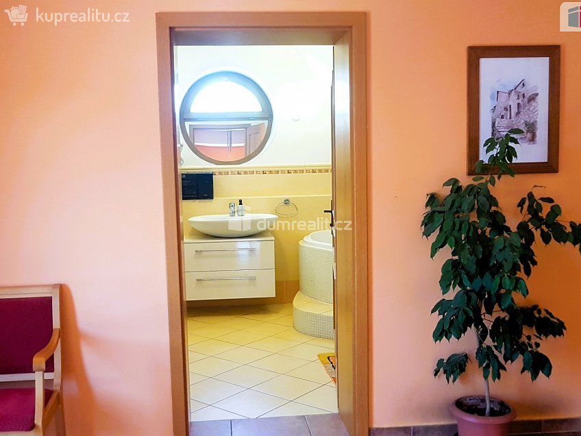 Prodej  rodinného domu 303 m^2 Plucárna, Hodonín 