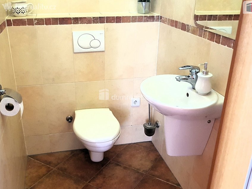 Prodej  rodinného domu 303 m^2 Plucárna, Hodonín 