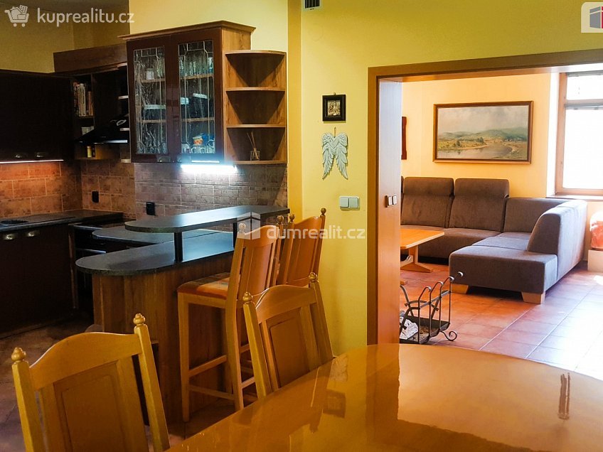 Prodej  rodinného domu 303 m^2 Plucárna, Hodonín 