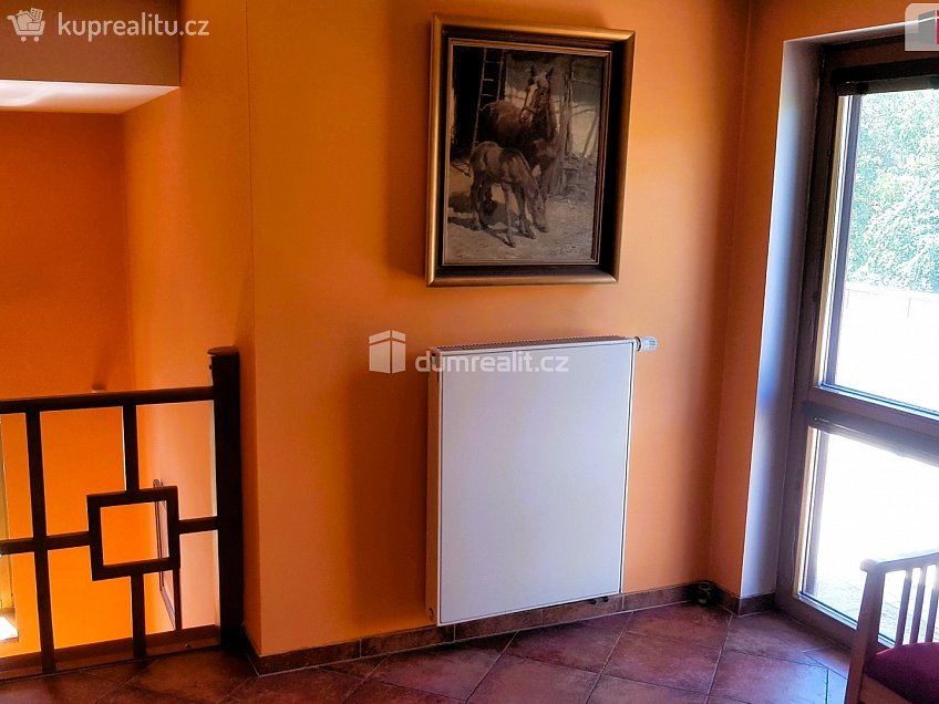 Prodej  rodinného domu 303 m^2 Plucárna, Hodonín 