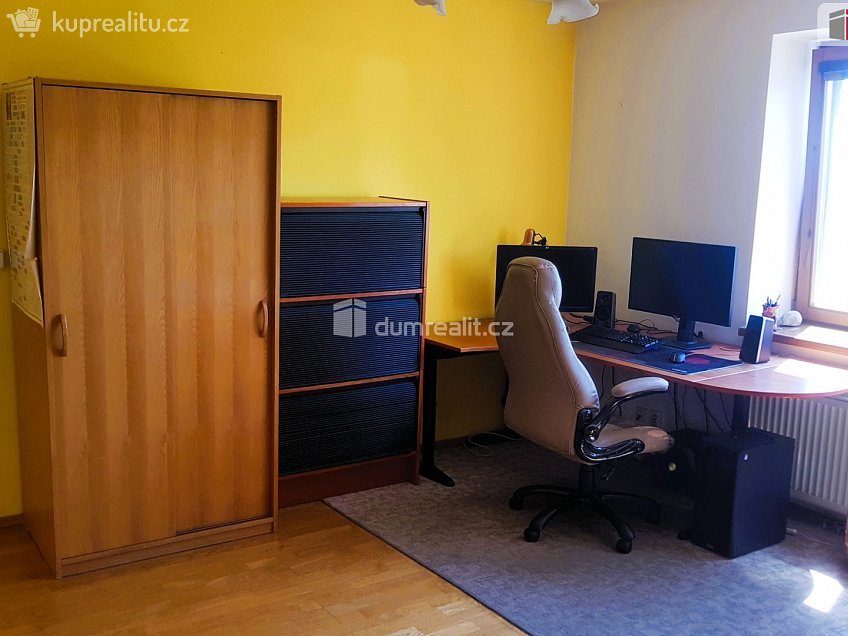 Prodej  rodinného domu 303 m^2 Plucárna, Hodonín 