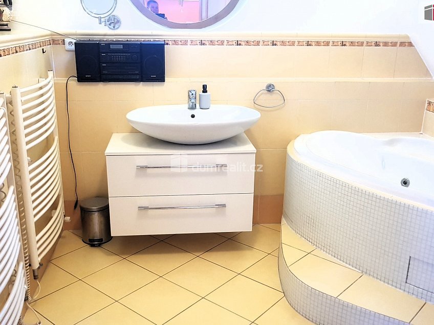 Prodej  rodinného domu 303 m^2 Plucárna, Hodonín 