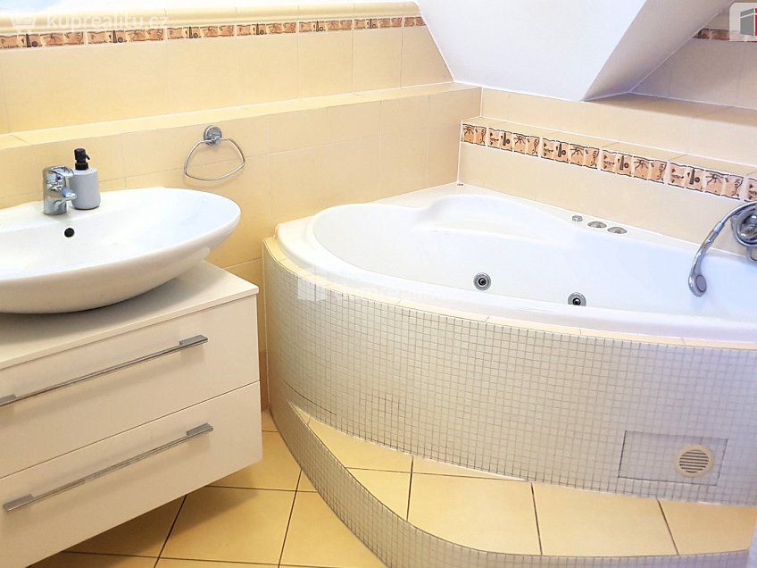 Prodej  rodinného domu 303 m^2 Plucárna, Hodonín 