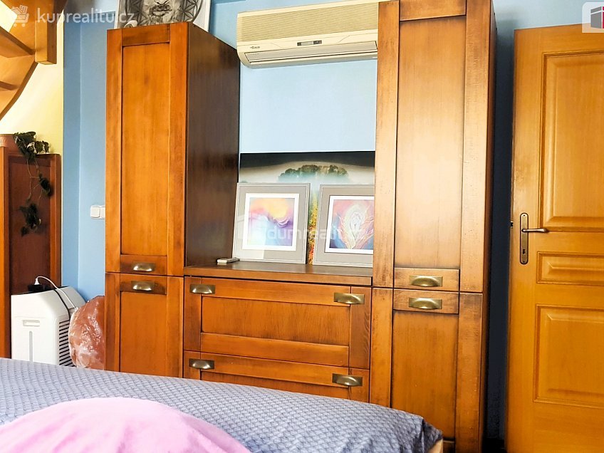 Prodej  rodinného domu 303 m^2 Plucárna, Hodonín 