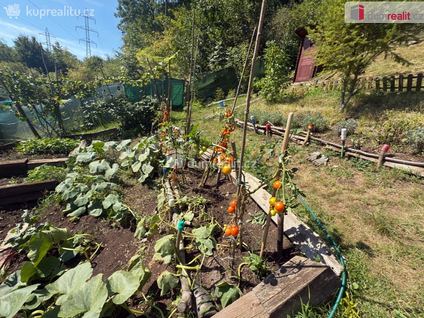 Pronájem  zahrady 693 m^2 Horní, Ústí nad Labem 