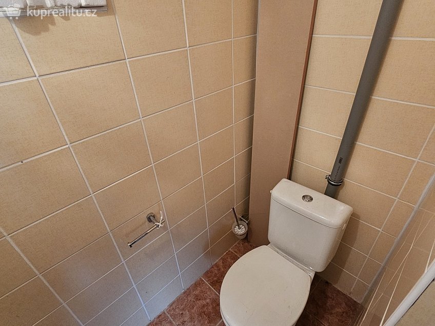 Prodej  chaty 32 m^2 Tuřany 12, Tuřany 