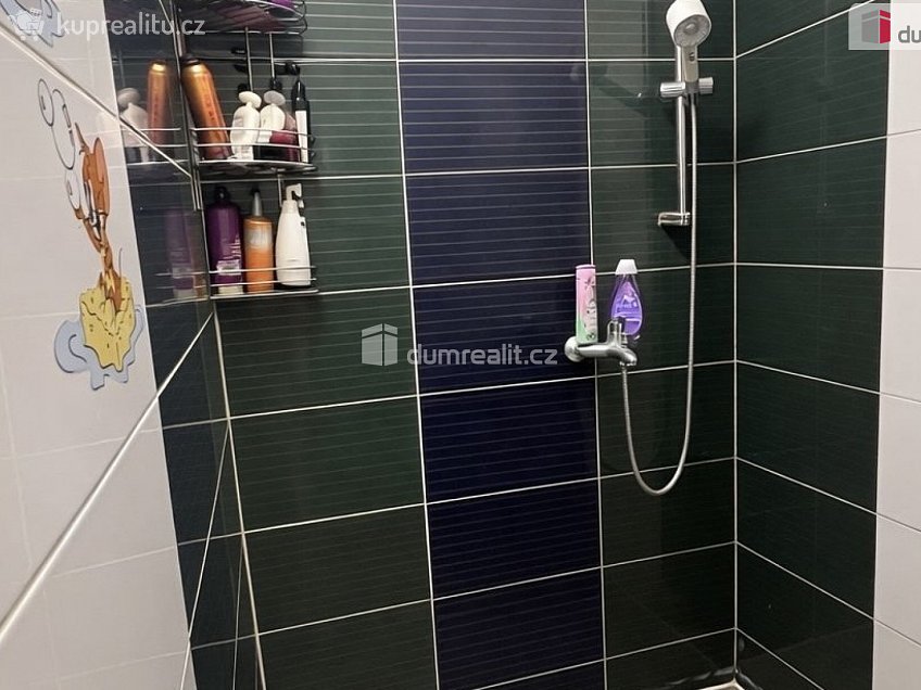 Pronájem bytu 3+kk 70 m^2 Zenklova, Praha 8 