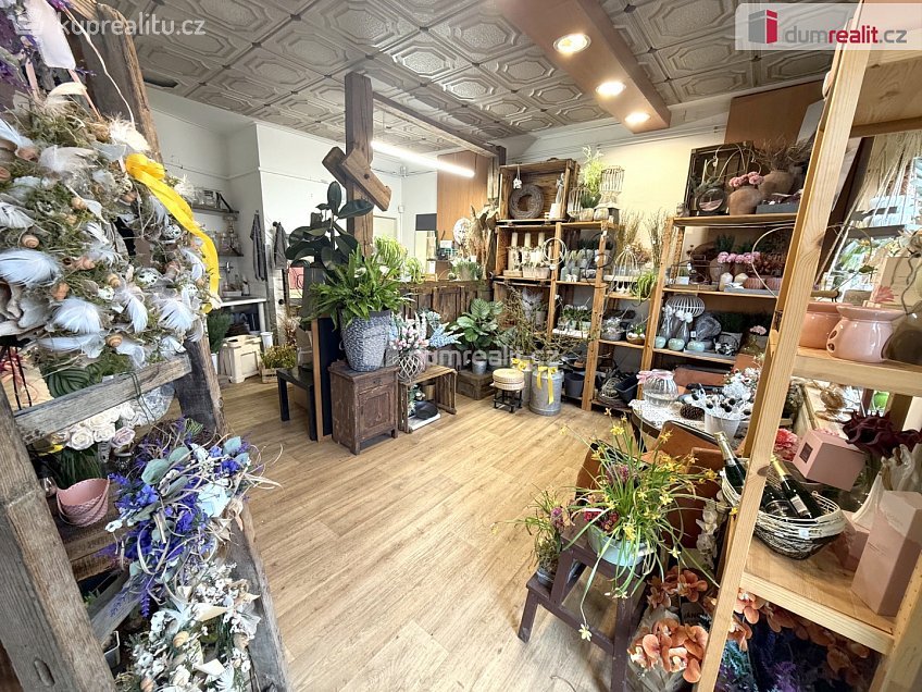 Pronájem  obchodních prostor 23 m^2 Masarykova, Zlín 