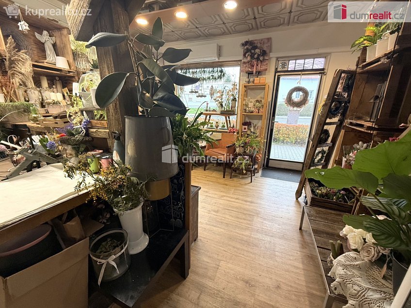 Pronájem  obchodních prostor 23 m^2 Masarykova, Zlín 