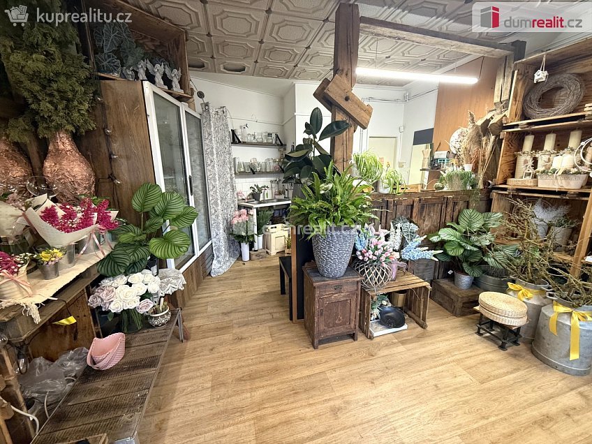 Pronájem  obchodních prostor 23 m^2 Masarykova, Zlín 