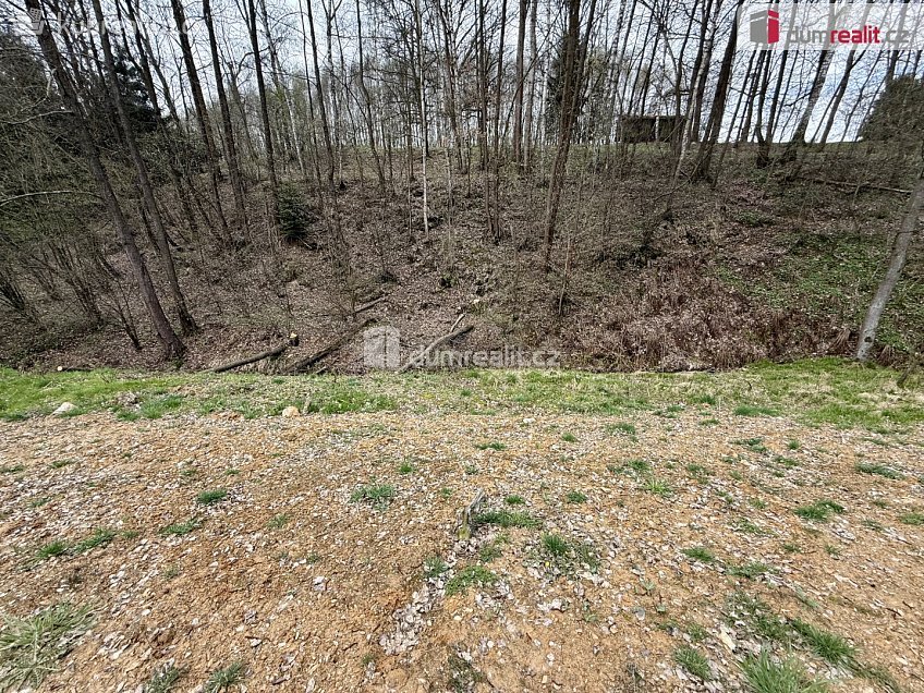 Prodej  rodinného domu 150 m^2 Dasnice, Dasnice 