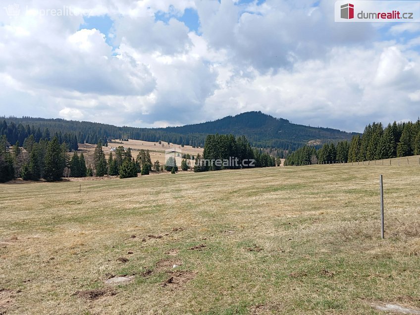 Prodej  louky 1321 m^2 Horská Kvilda, Horská Kvilda 
