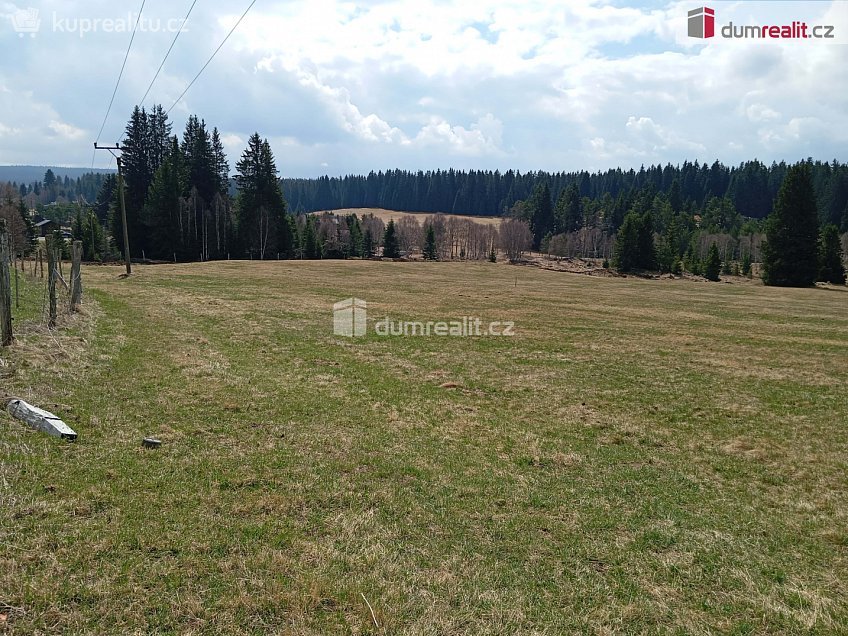 Prodej  louky 1321 m^2 Horská Kvilda, Horská Kvilda 