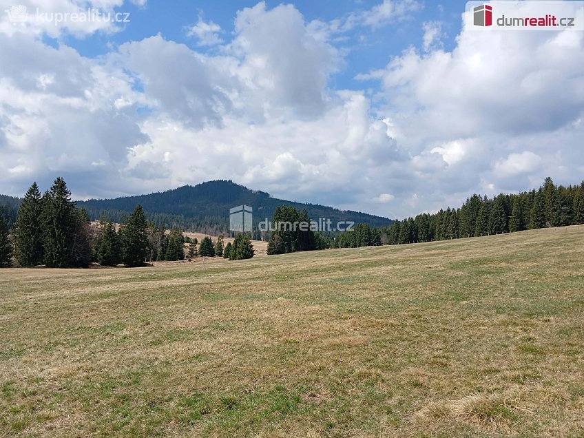 Prodej  louky 1321 m^2 Horská Kvilda, Horská Kvilda 
