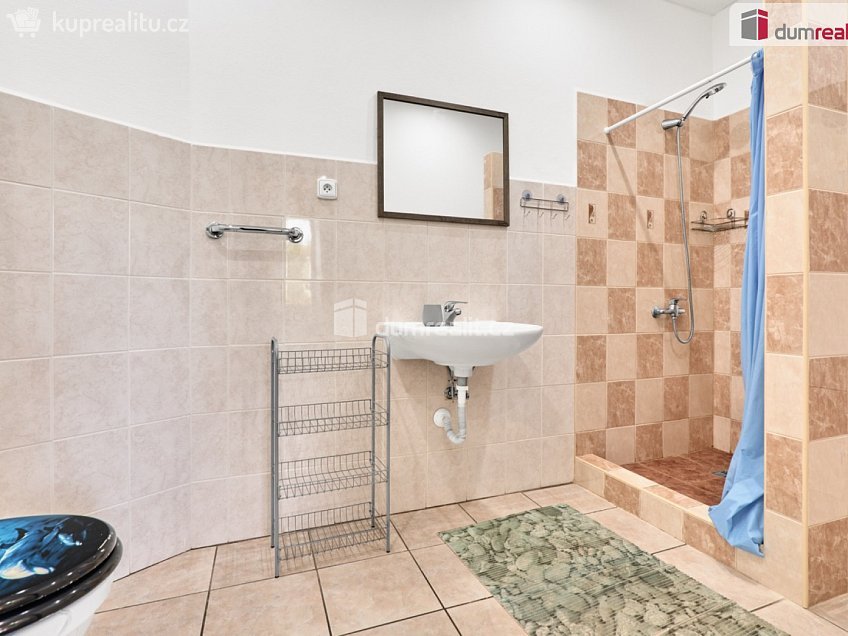 Prodej  ubytovacího zařízení 286 m^2 Chelčického, Chlum u Třeboně 